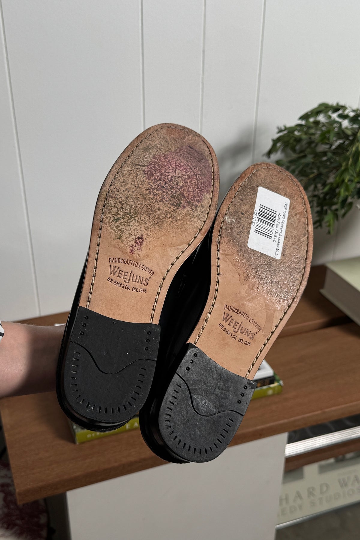 WEEJUNS Colorblock Loafer Mules