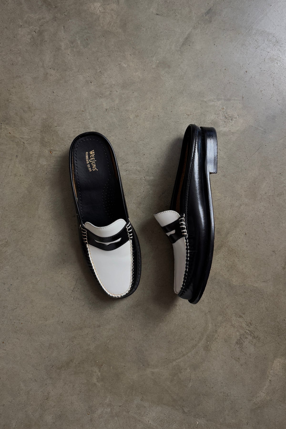 WEEJUNS Colorblock Loafer Mules